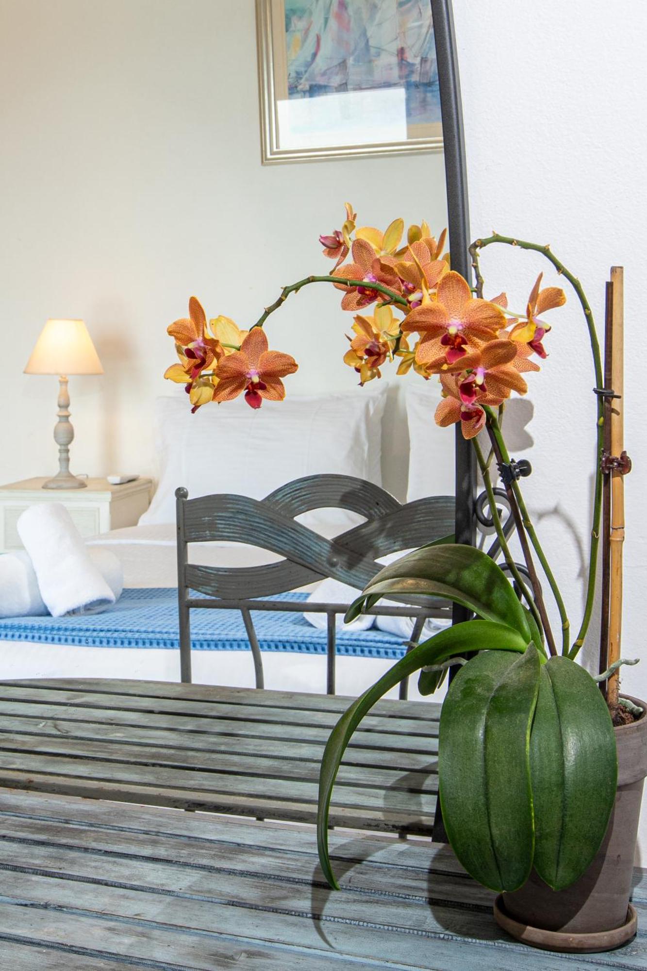 Dimitra Apartment With Private Pool And Sea View -The Ground Floor Of A Two Storey Building Daratsos 외부 사진